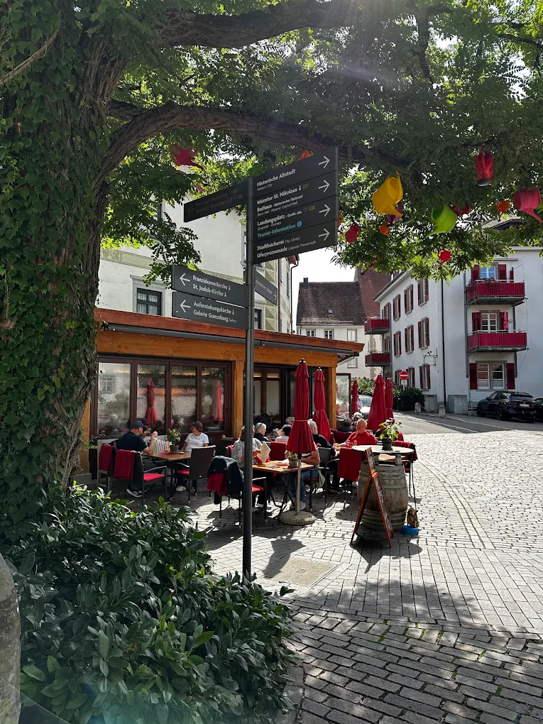 Gäste auf der Terrasse des Weinhaus Renker unter dem großen Baum an der Stadtmauer